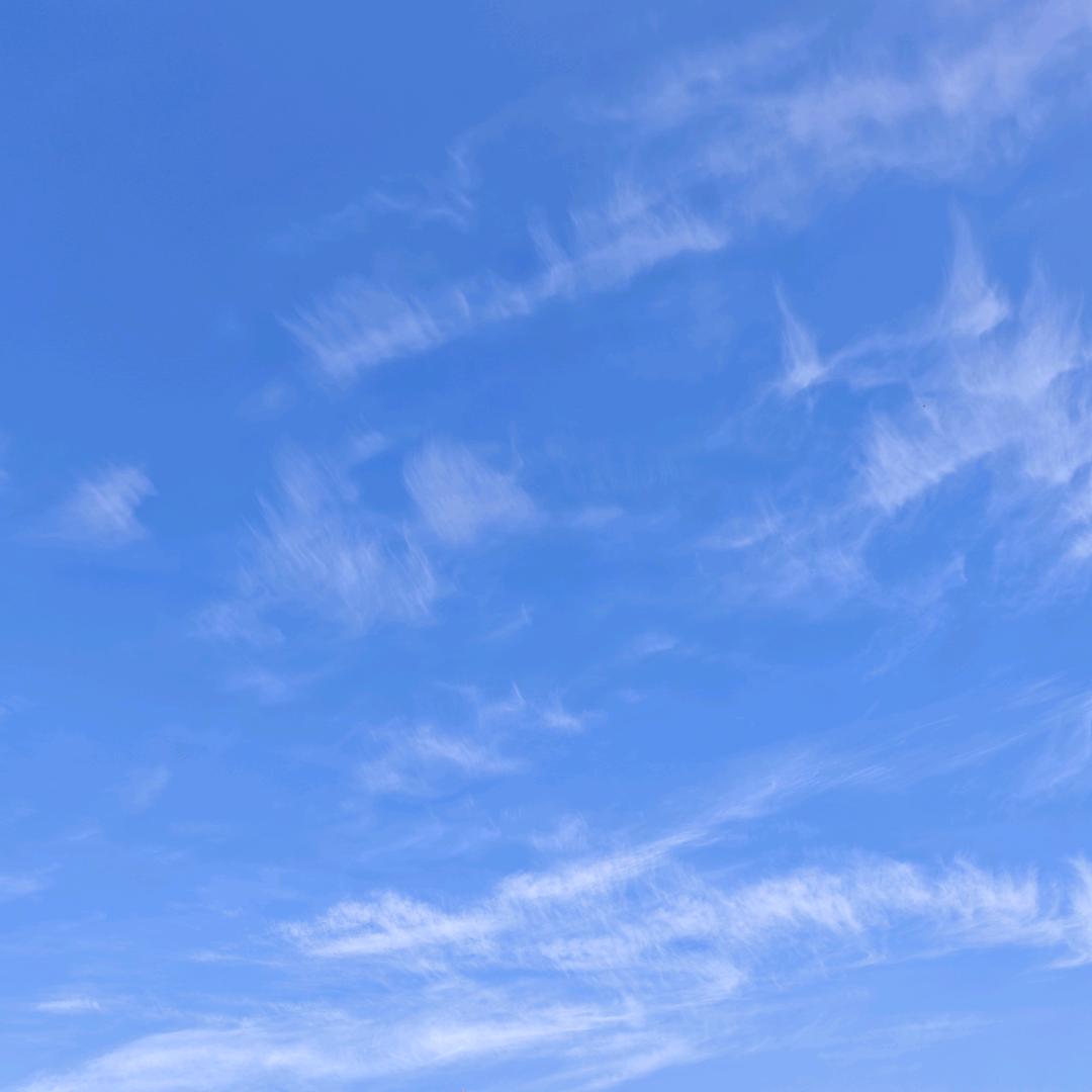 再就业工程师小新