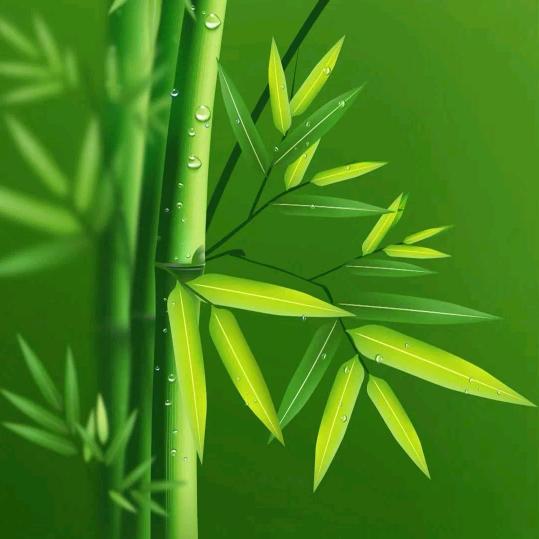 🍀🍀