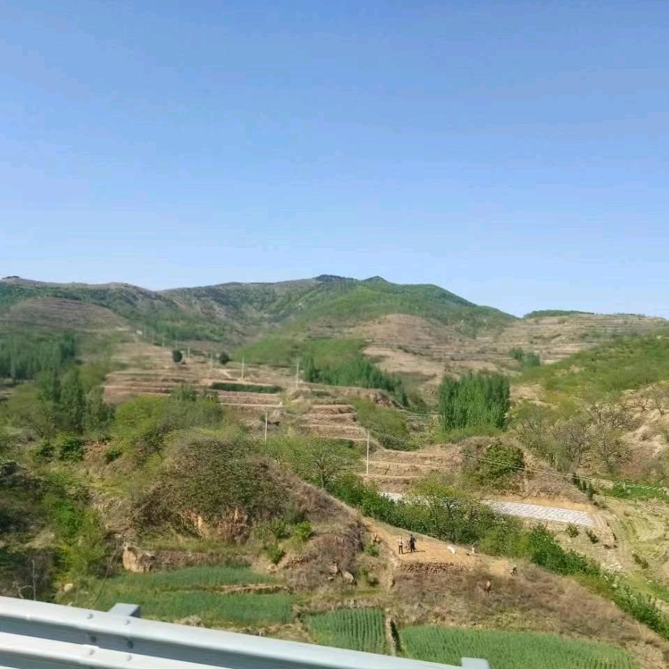 用户0988