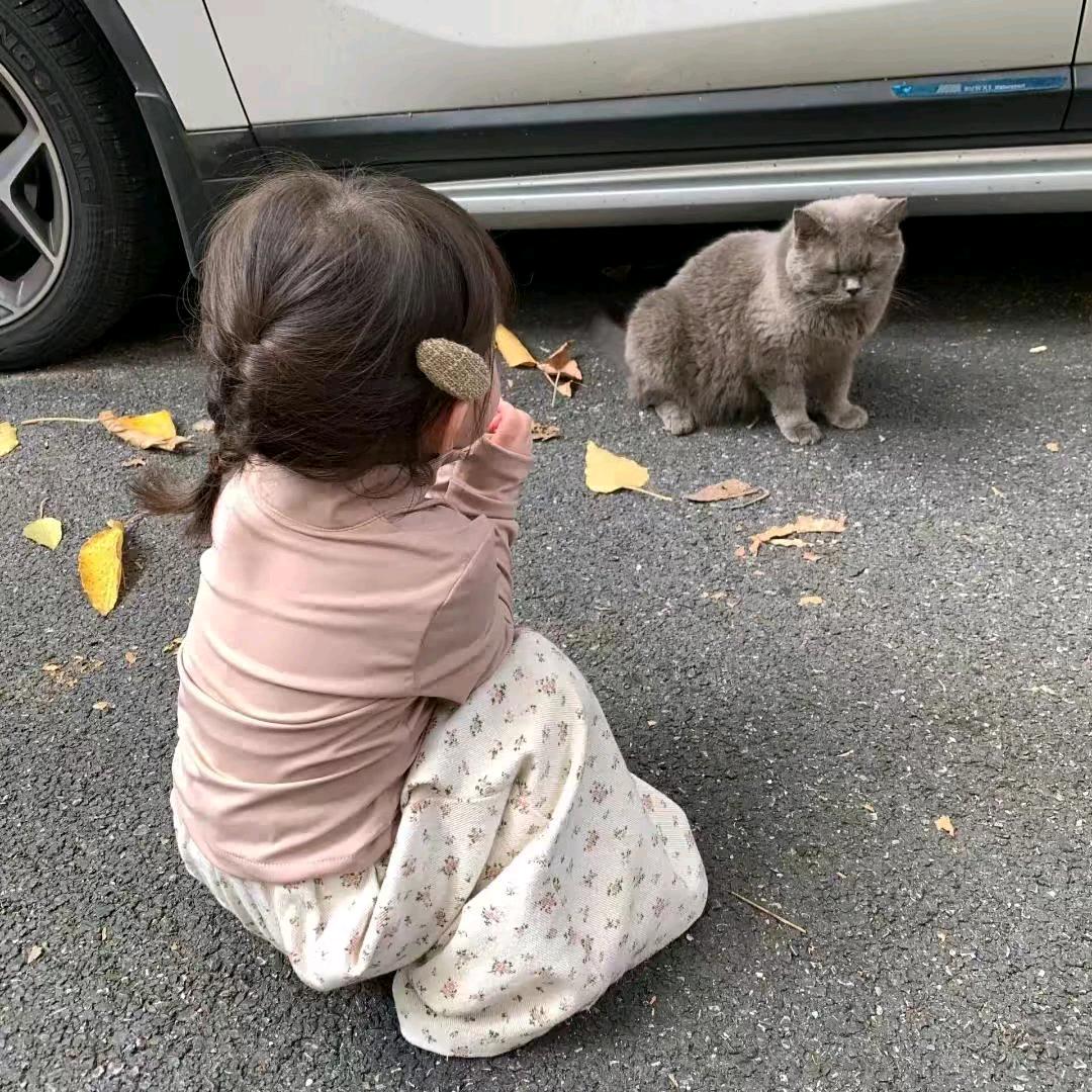 番茄小鱼