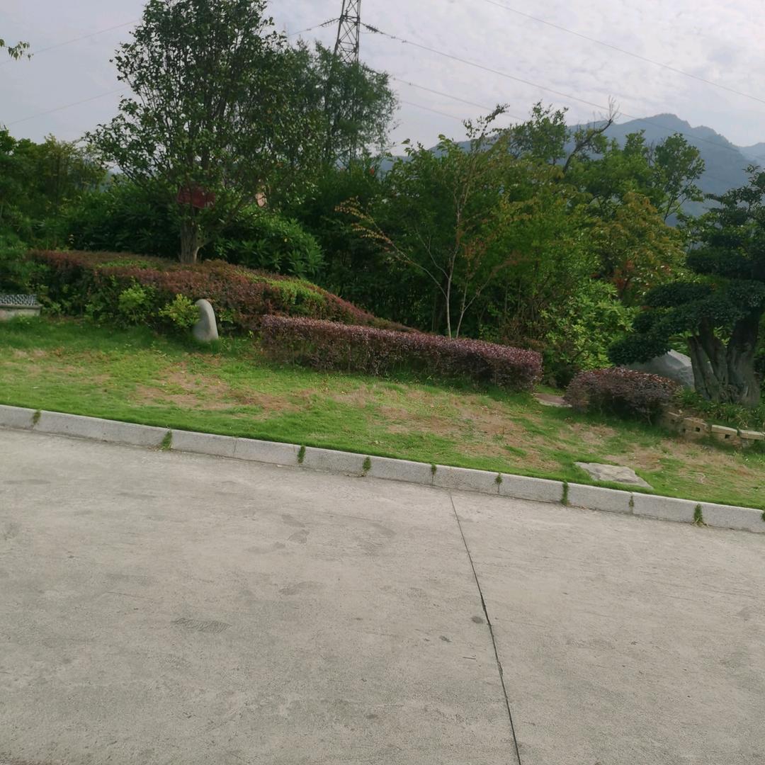 峰哥