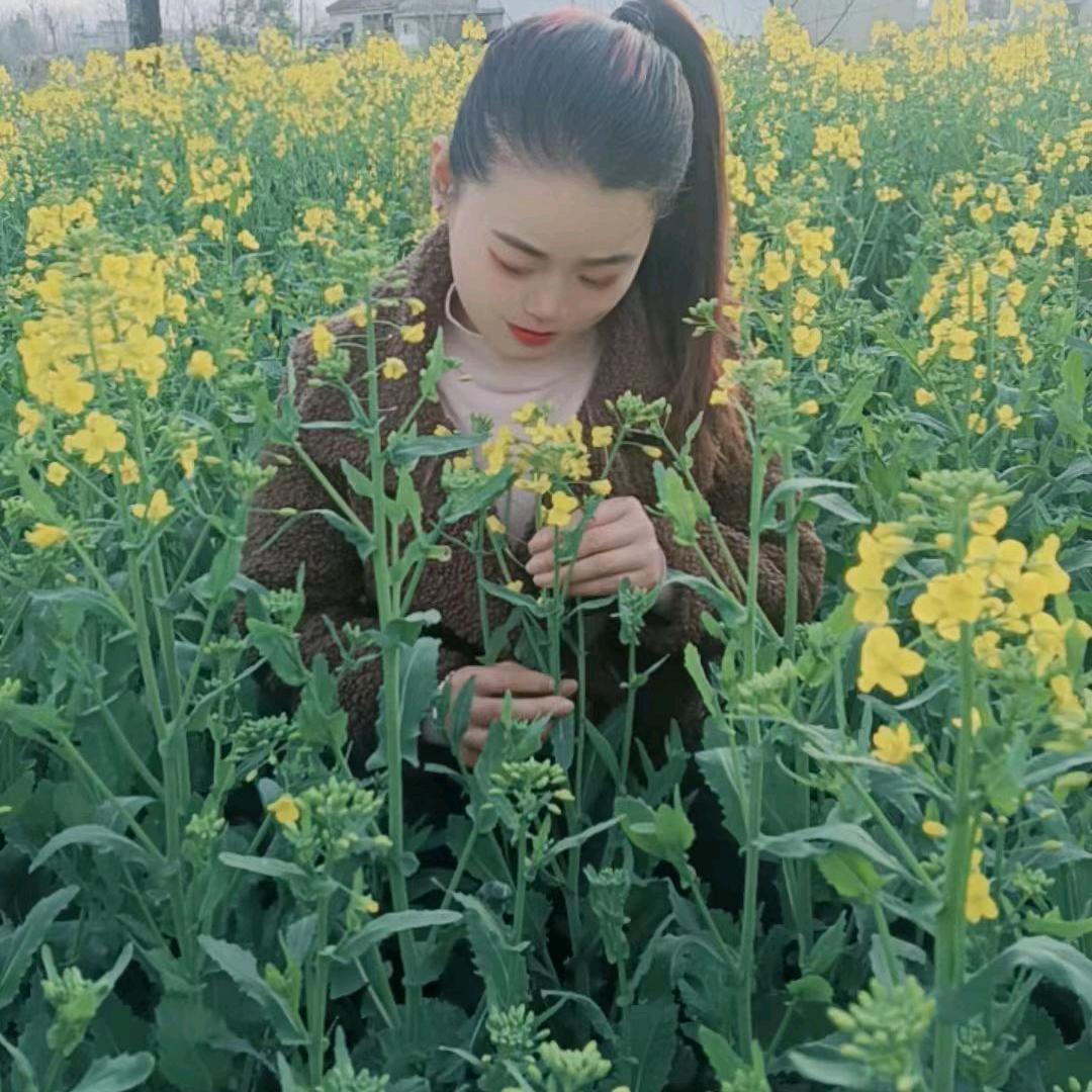 远嫁的姑娘