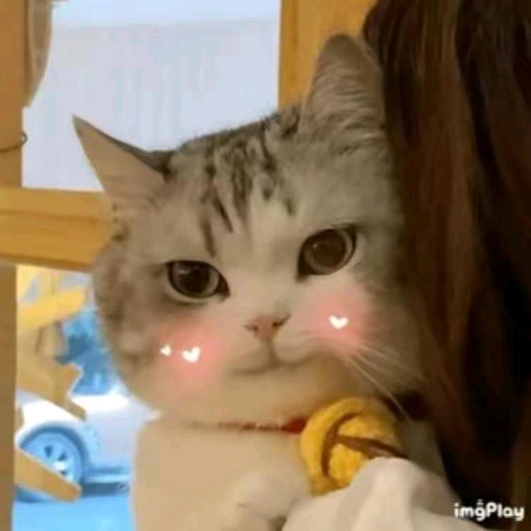 斌斌吃不饱