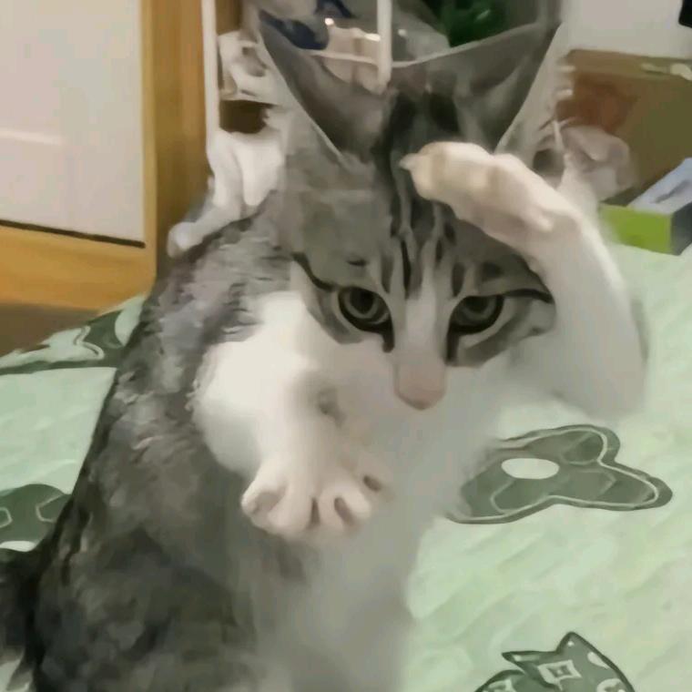 simon1