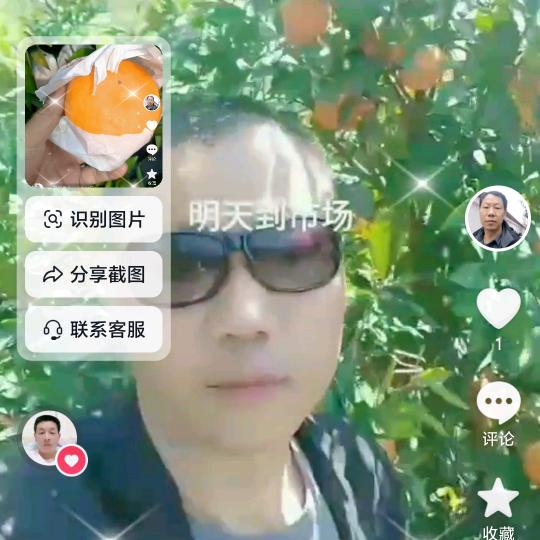 苗园果业