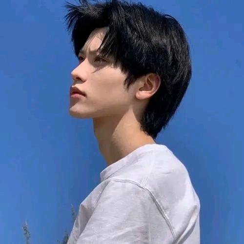 小高书法