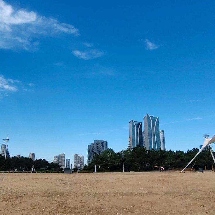 暖阳下