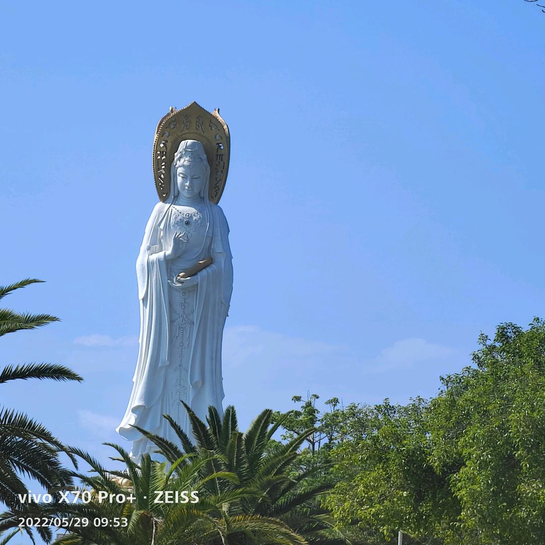 能放下的不是时间