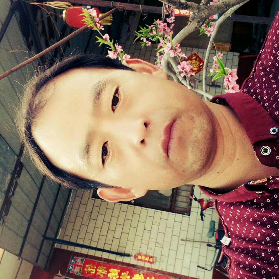 传宝