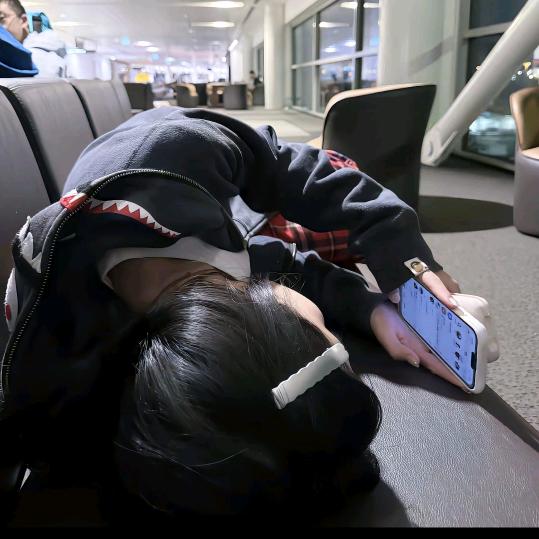 鹤辞