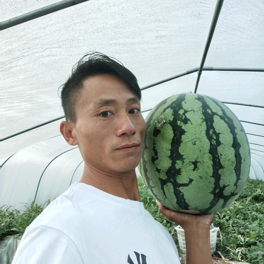 水果先生在产地代收代办文斌