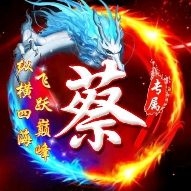 老蔡