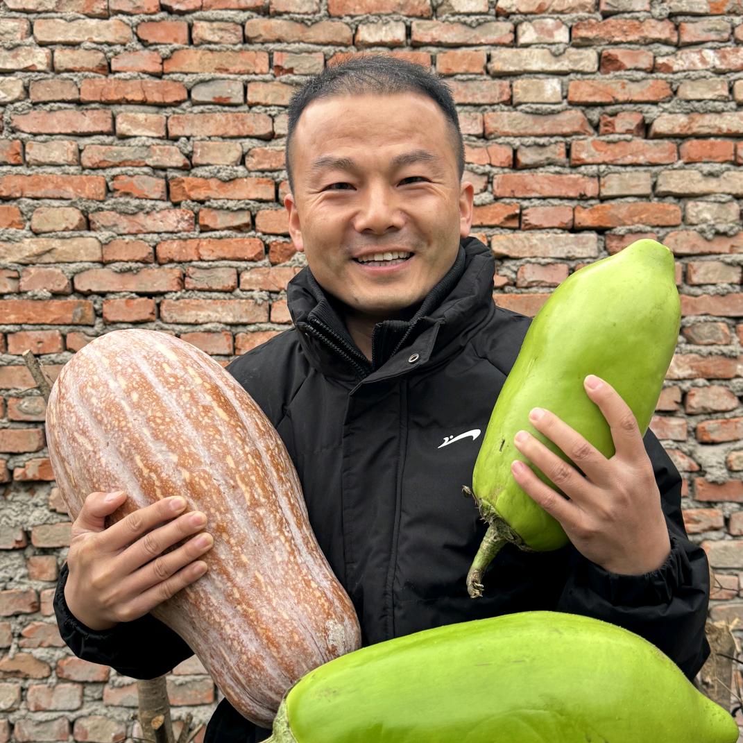 郑在丰收