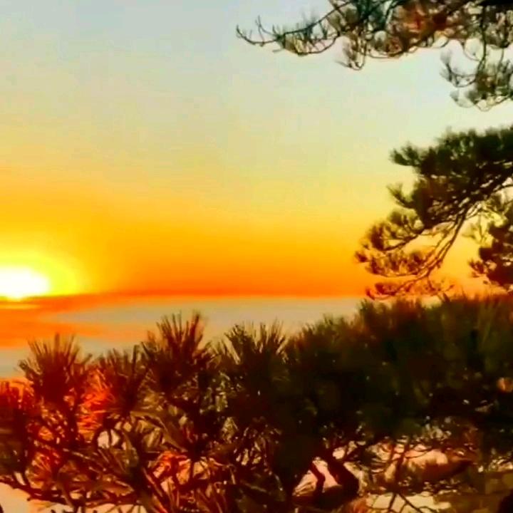 正解国学 00052  慈源