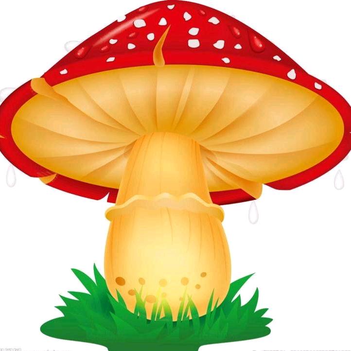 不开花的大蘑菇