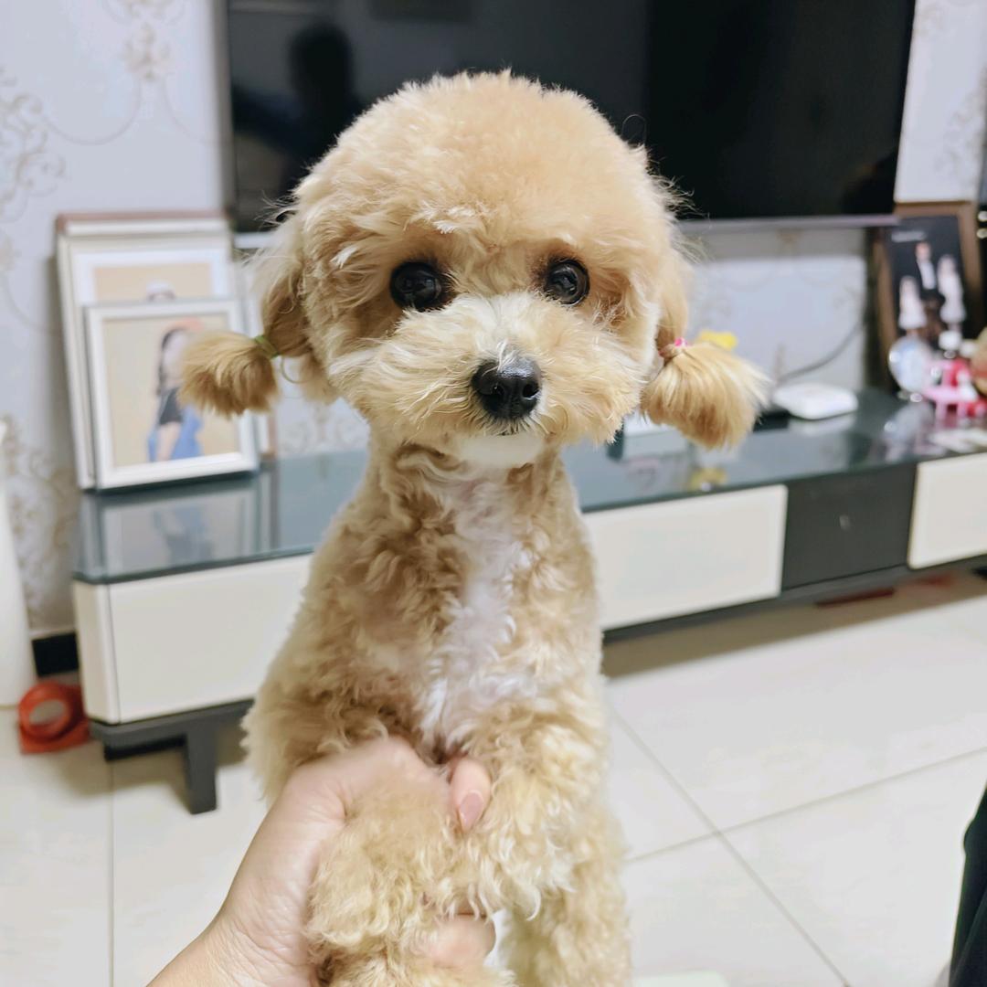 🌈🌈维维安🌼