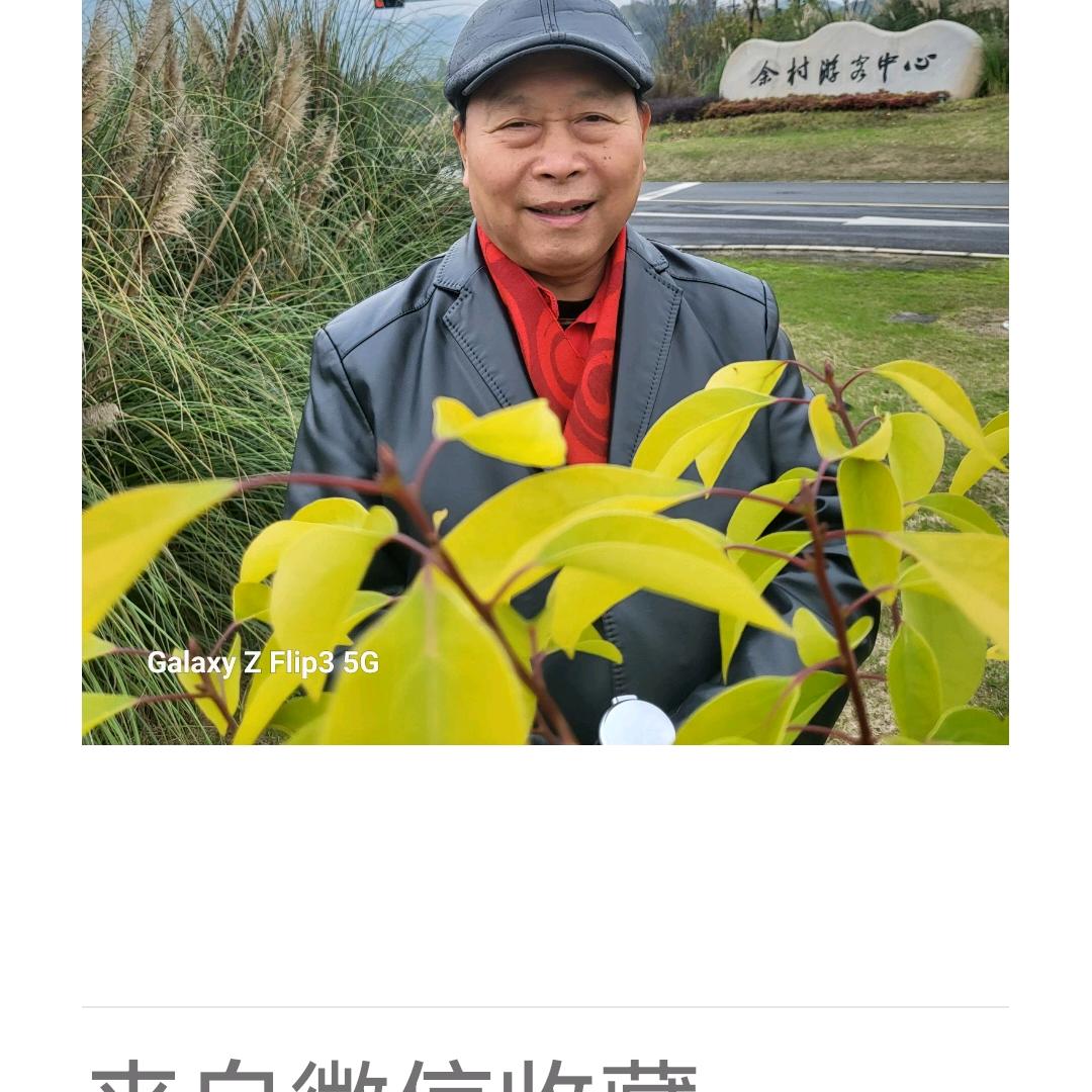我从山中来