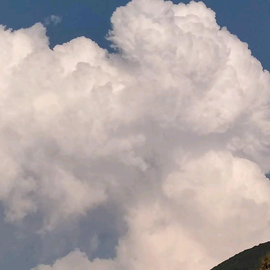 游山玩水（塔吊信号工）