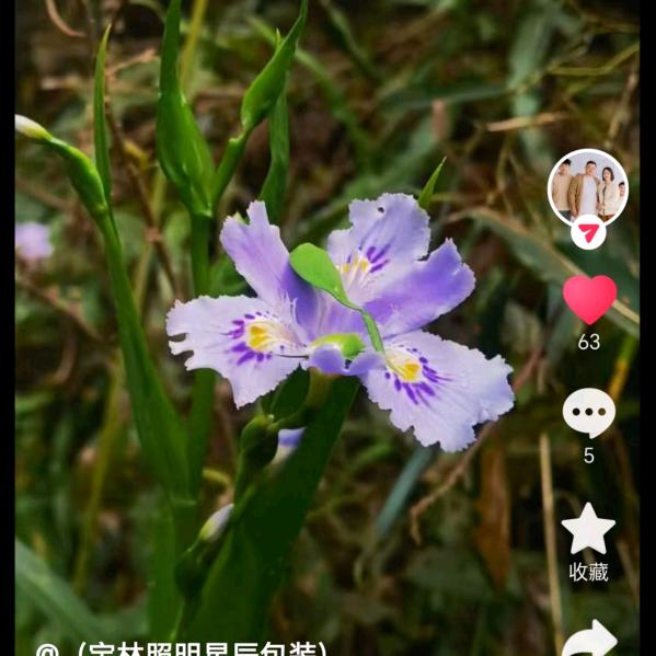 平平淡淡健健康康