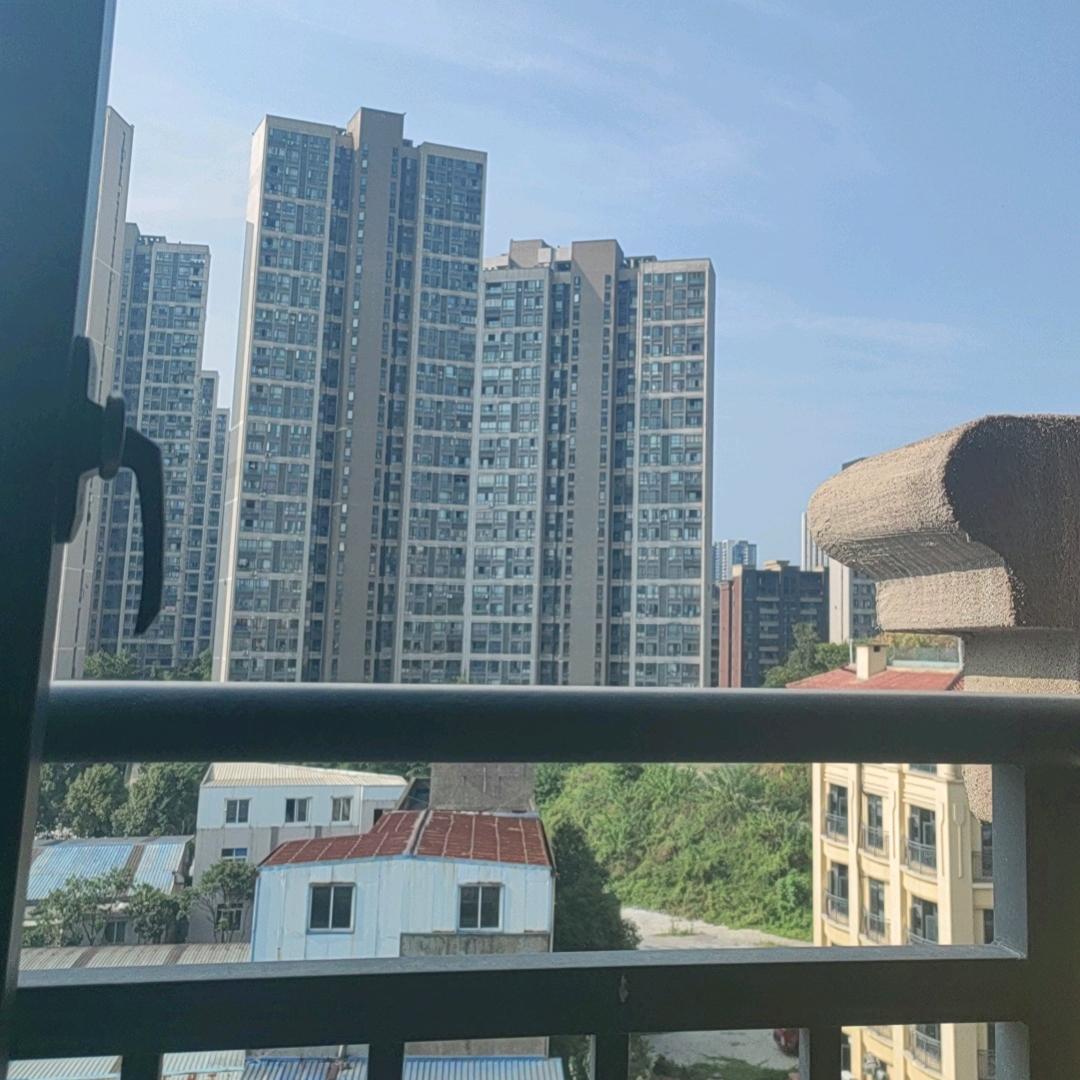 伙😻