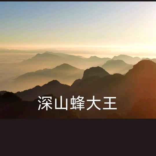 深山蜂大王
