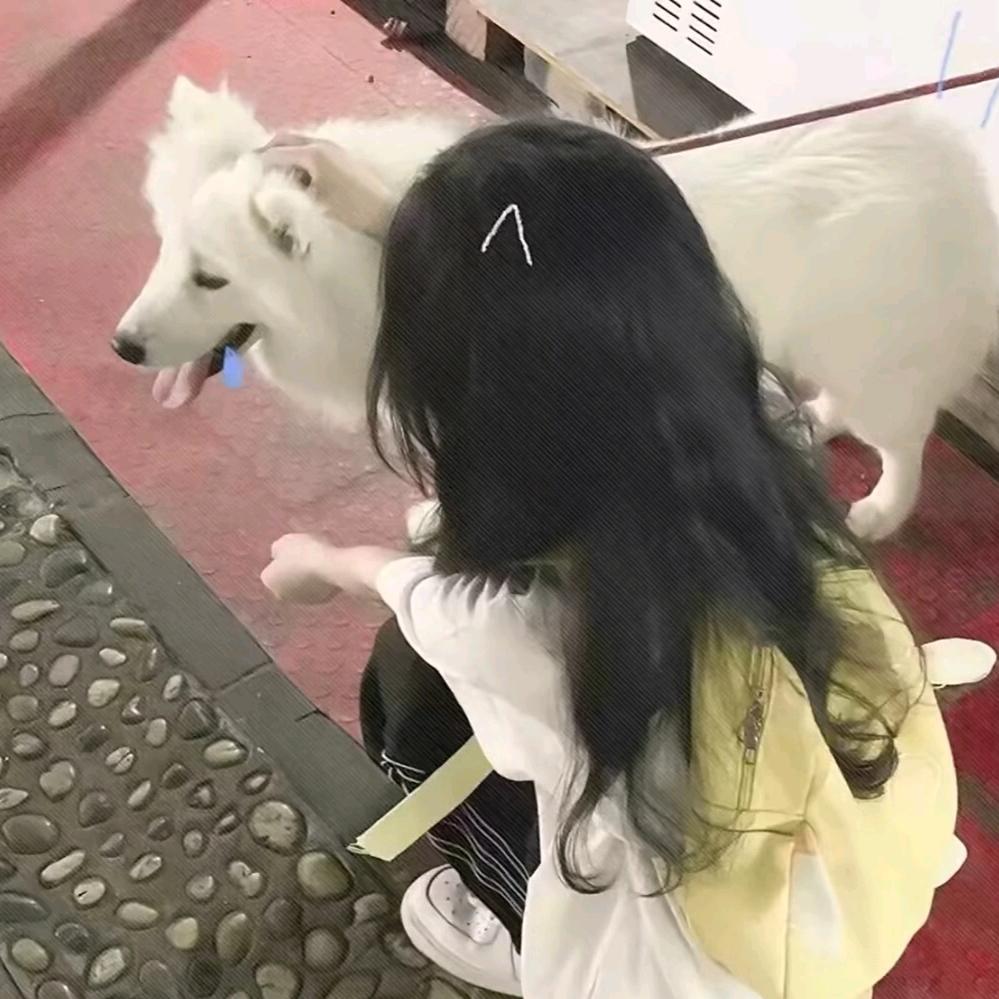 🌺清凉一夏🌹🌹