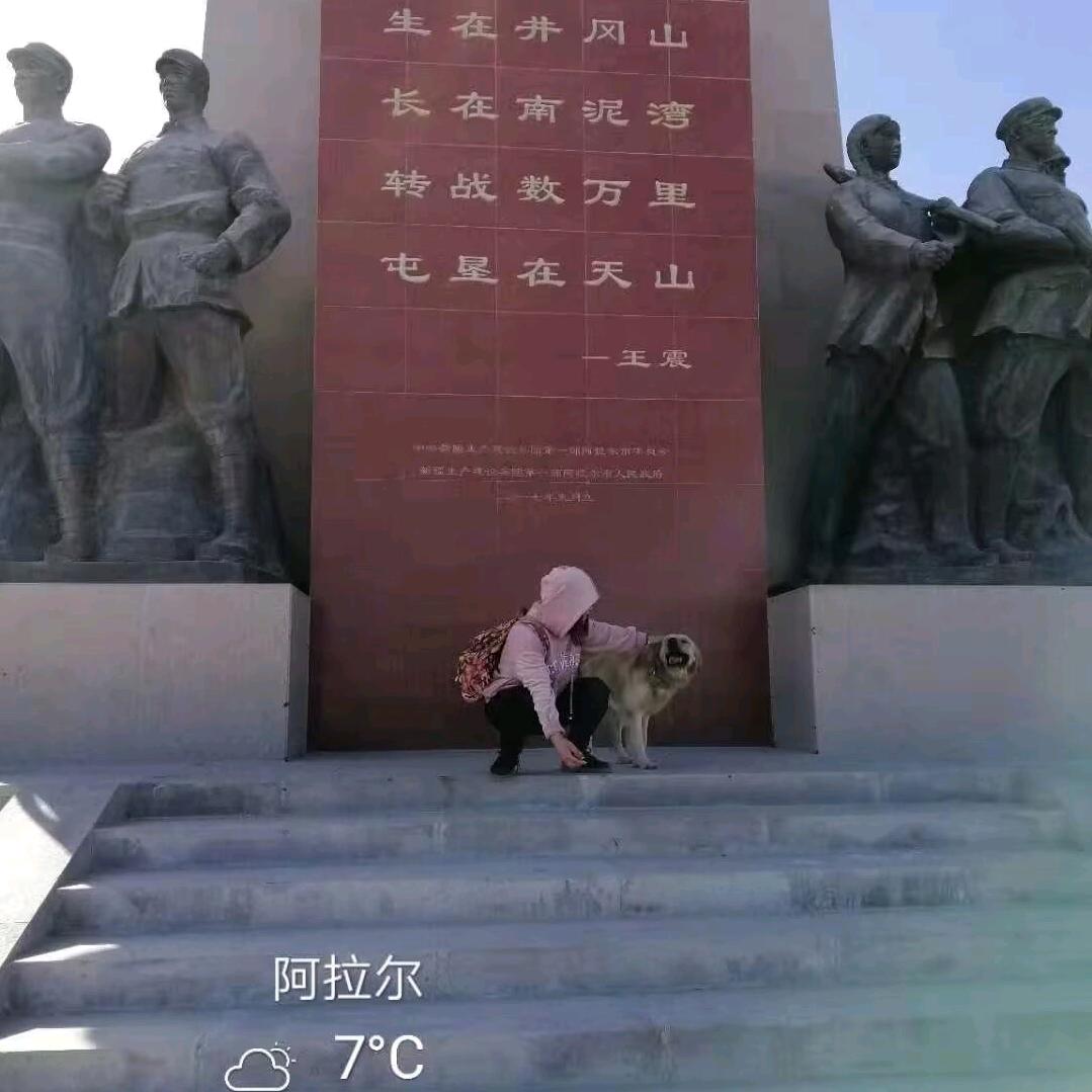 初心，苏老师
