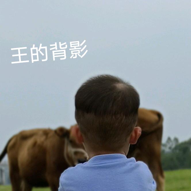 爱在丽江