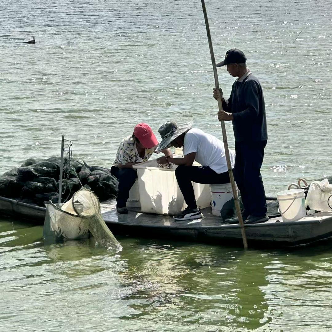 厚礼蟹（自家百亩蟹塘版）