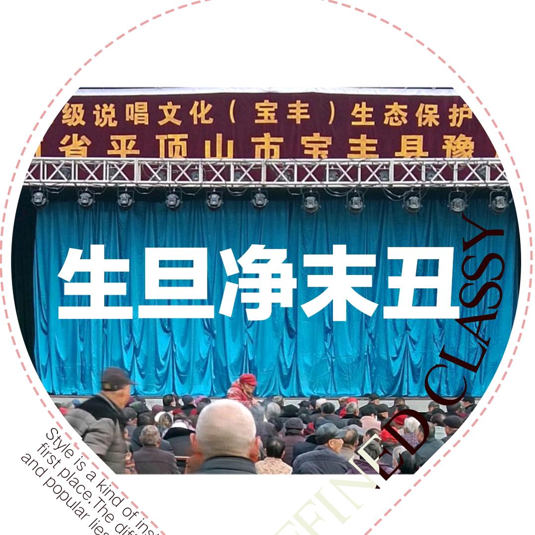 宝丰县豫剧团【陈】