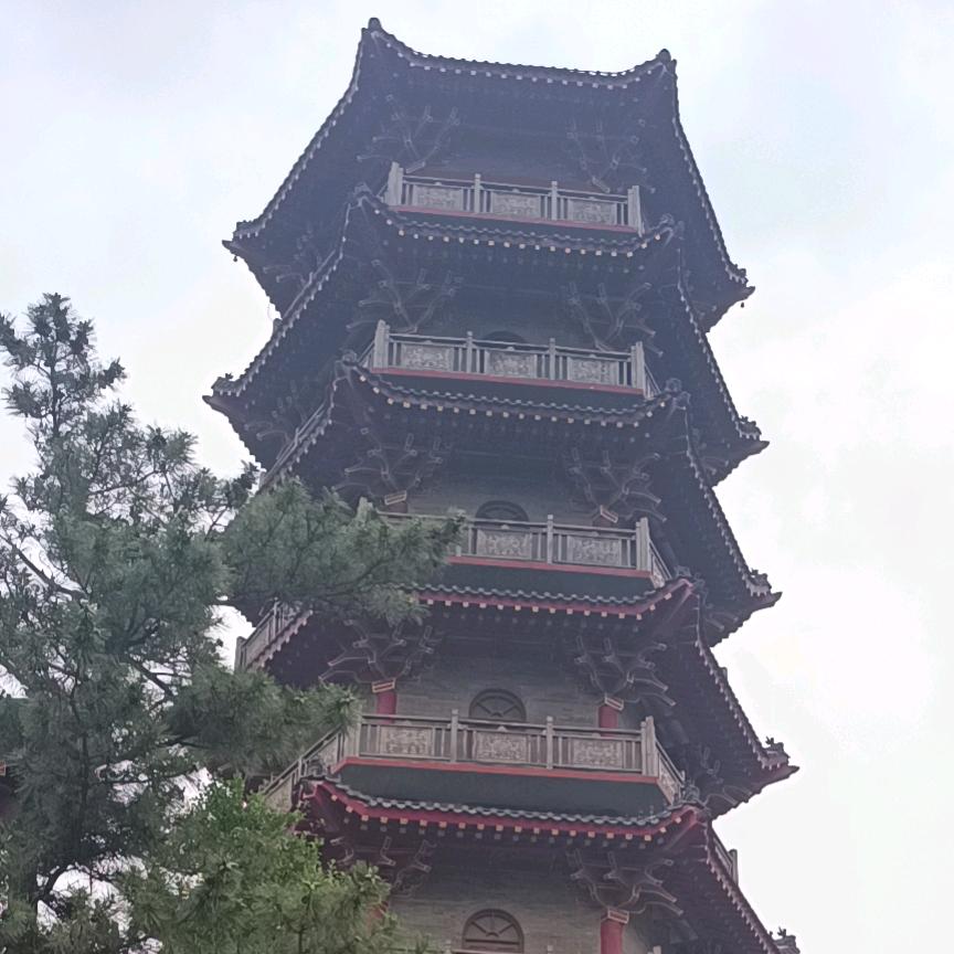 程哥聊球室•黑色头像