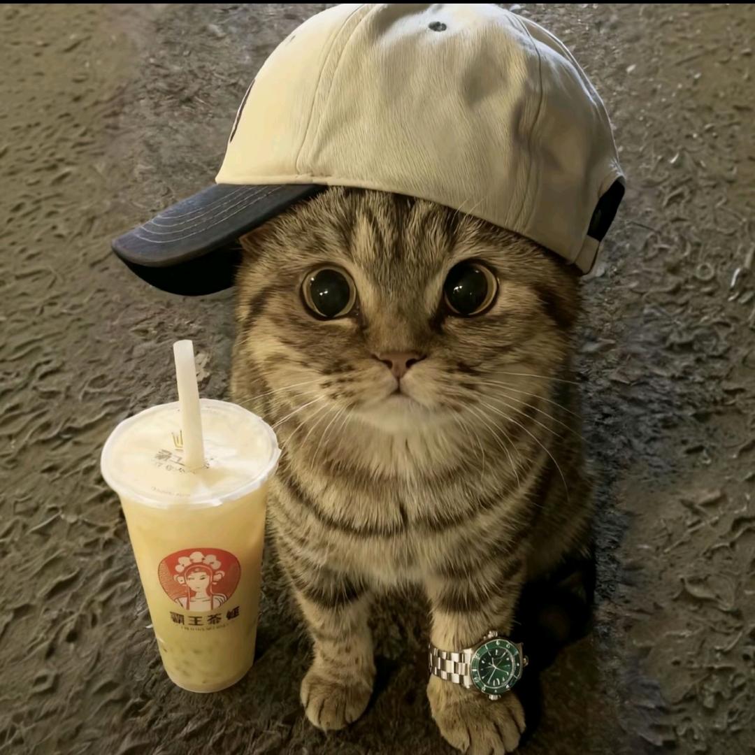 日出╭(╯ε╰)╮