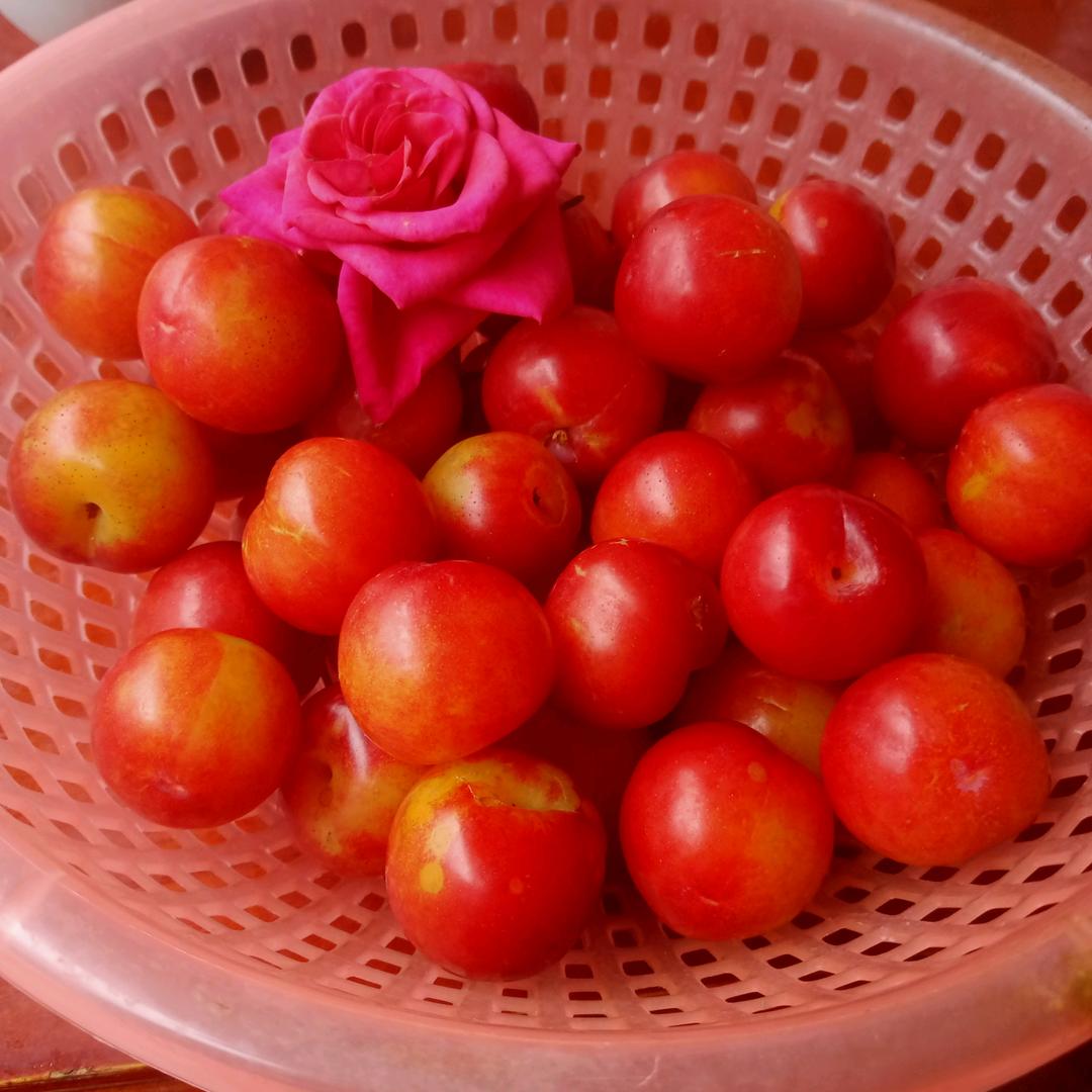 ꦿ媛🍒᭄ꦿ࿐᭄ོ（有空玩直播）