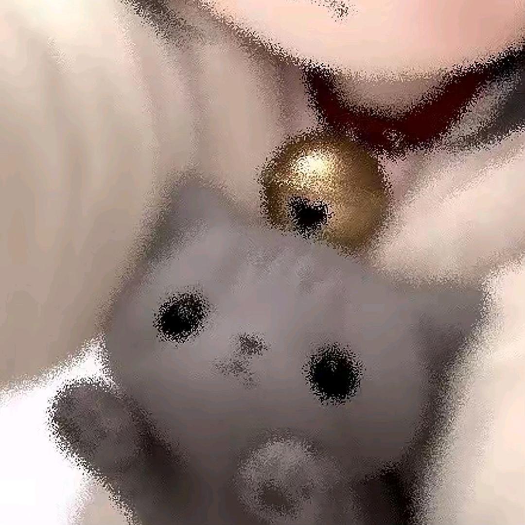 TeFuir