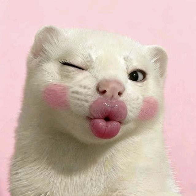 三门峡OPPO张馨予