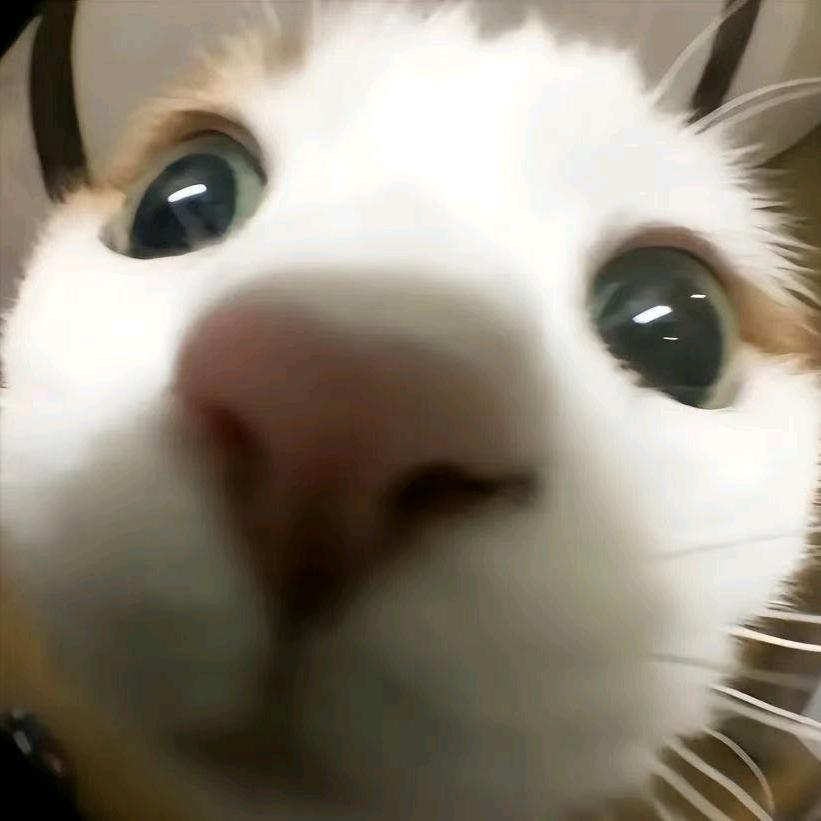 泽春