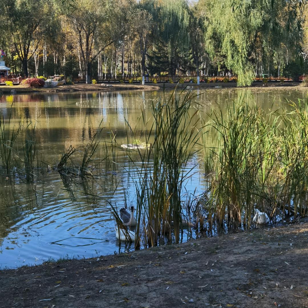 爱吃面包的宝宝