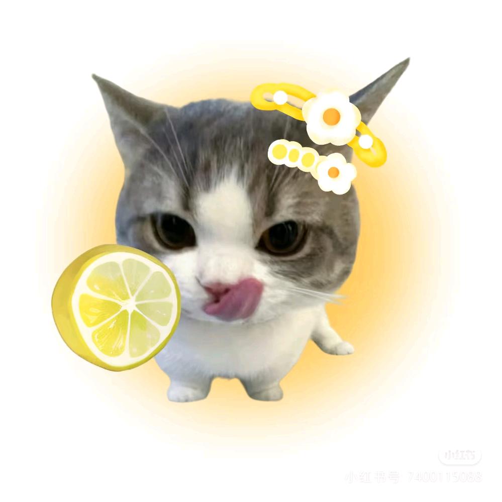咕咕嘎嘎