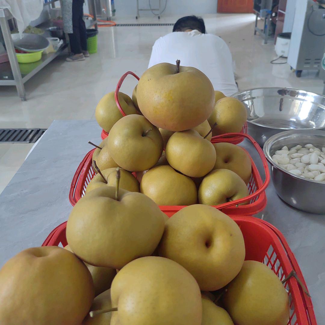 责任  担当  理智