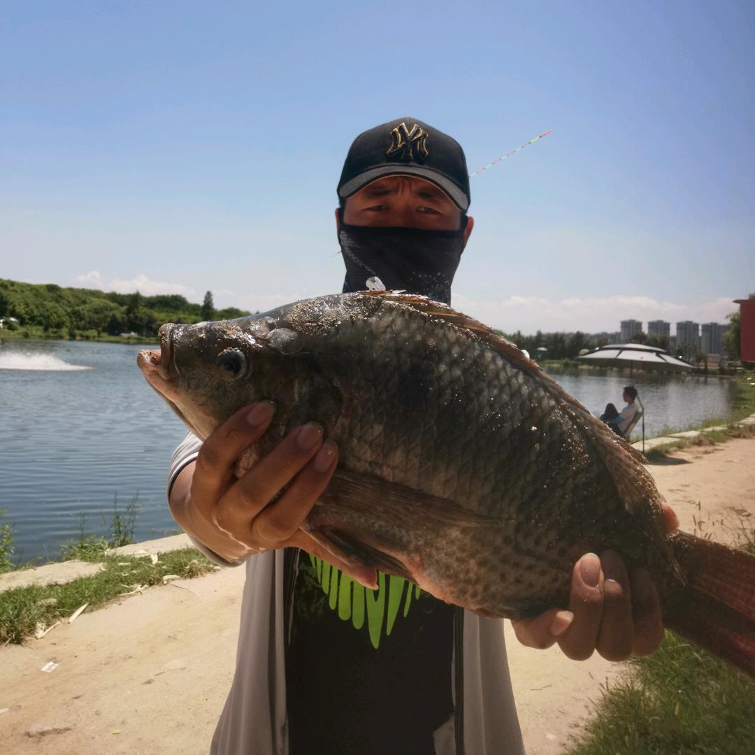 江湖人称小马哥🎣🎣🎣