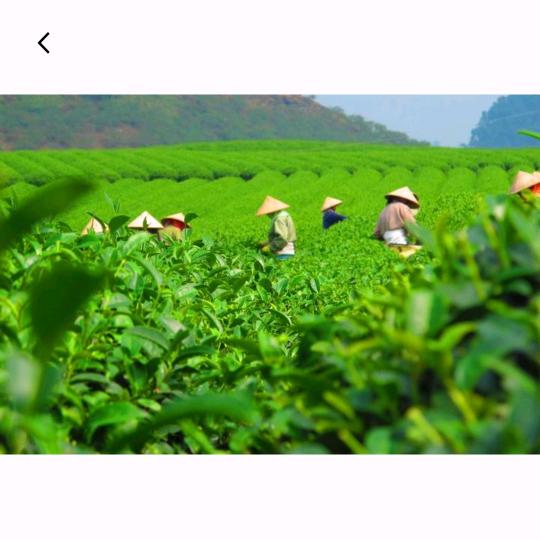梦的方向叫做闯