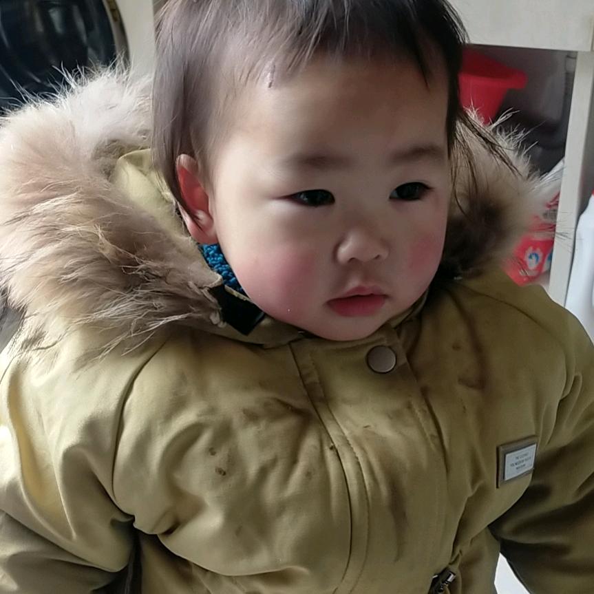 正宗散养土黑猪