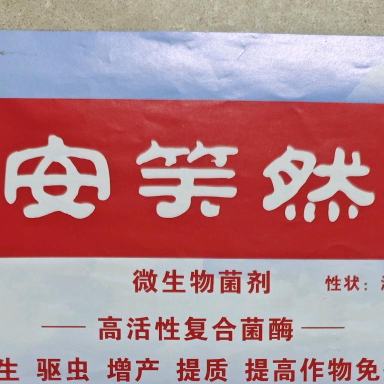 安笑然企业店