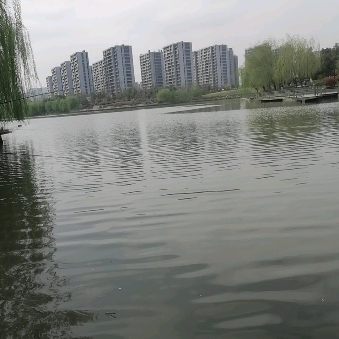 平淡