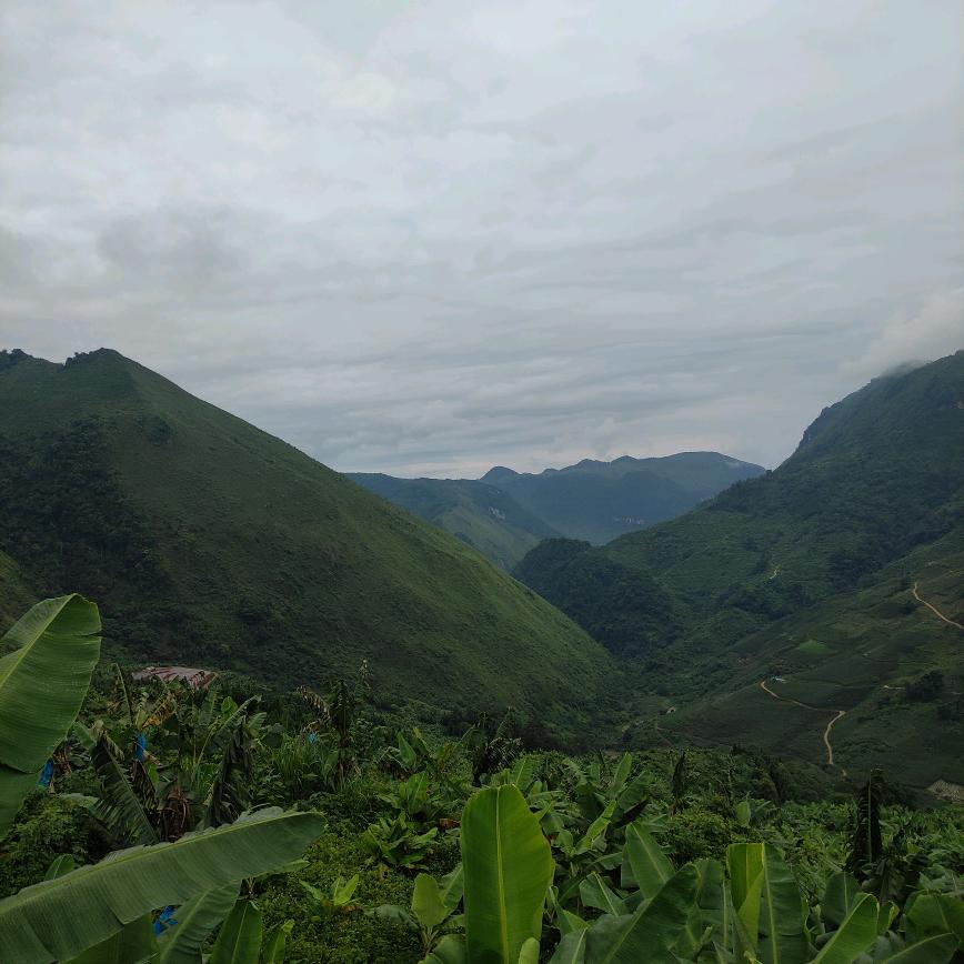 对方正在追求你请同意