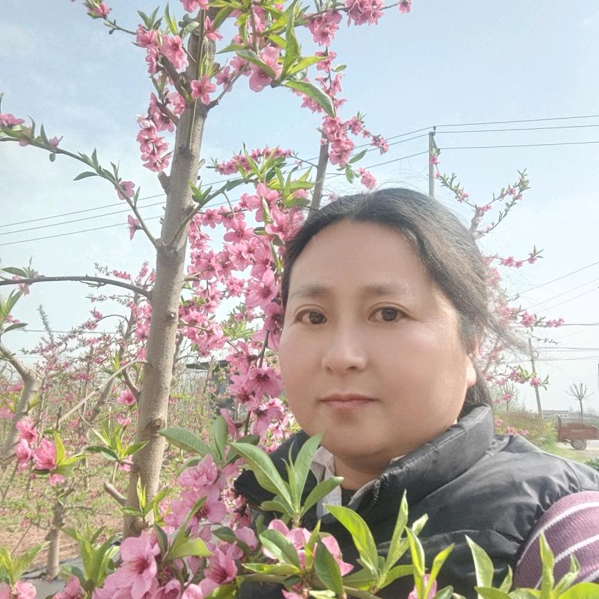 贾利红水果苗木代办
