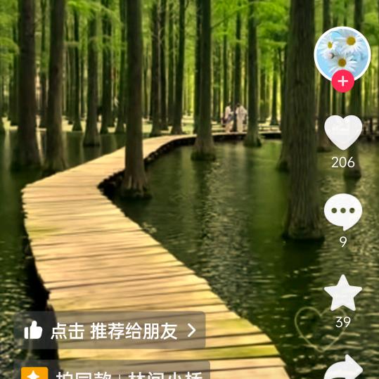 秋雨