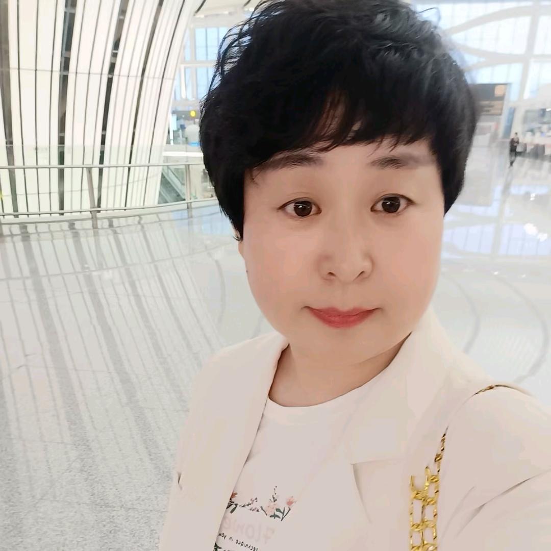 新疆金融琴姐