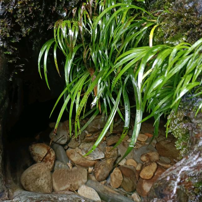 8🤪0😘后😜的🥰