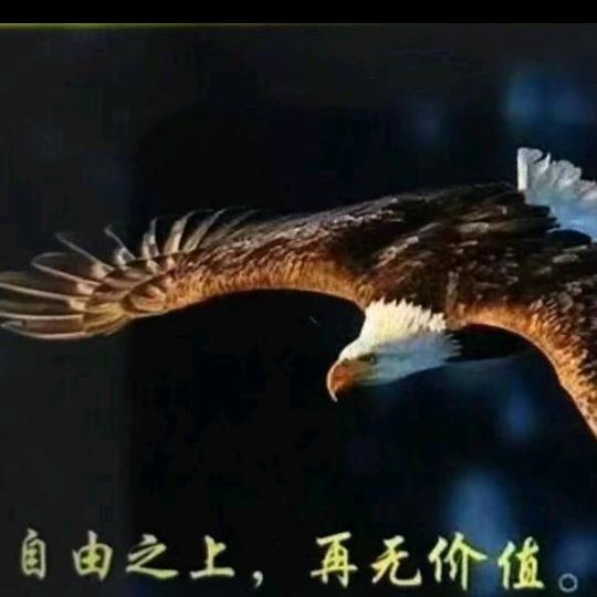 斌哥🚀